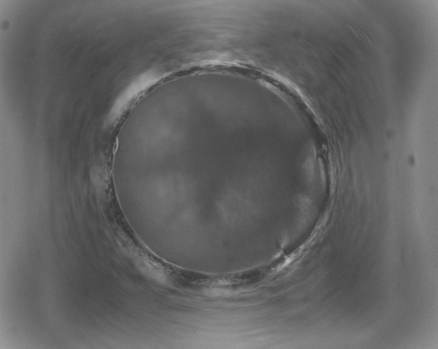 X0000080811359200612151518