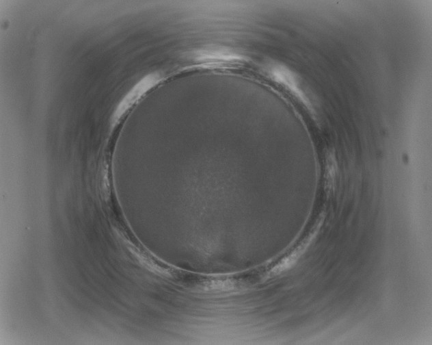 X0000080811362200612151518