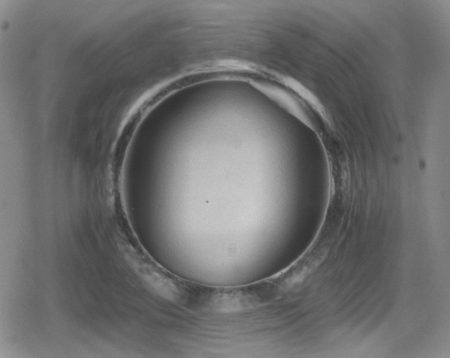 X0000080811364200612151518