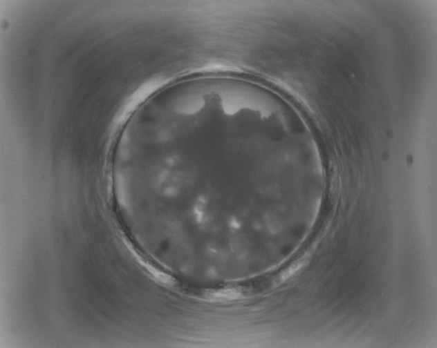 X0000080811367200612151518