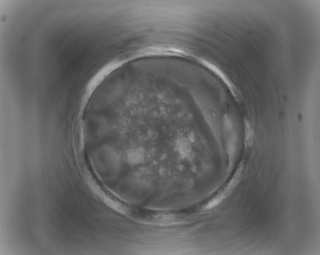 X0000080811371200612151517