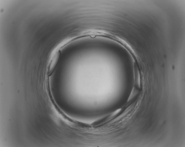 X0000080811379200612151517