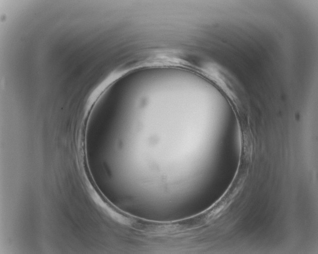 X0000080811387200612151517