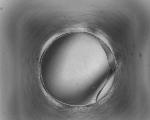 X0000080811389200612151517