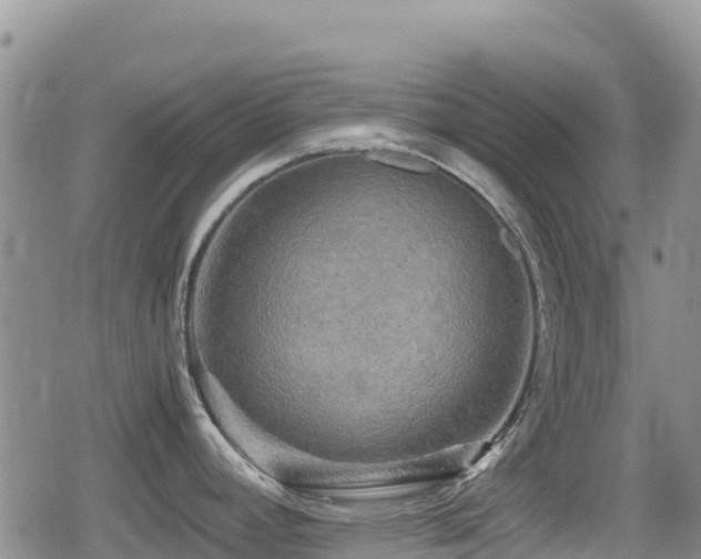 X0000080811392200612151517