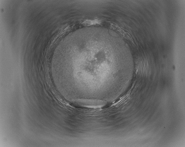 X0000080811393200612151516