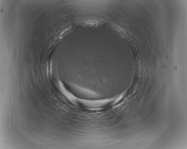 X0000080811394200612151516