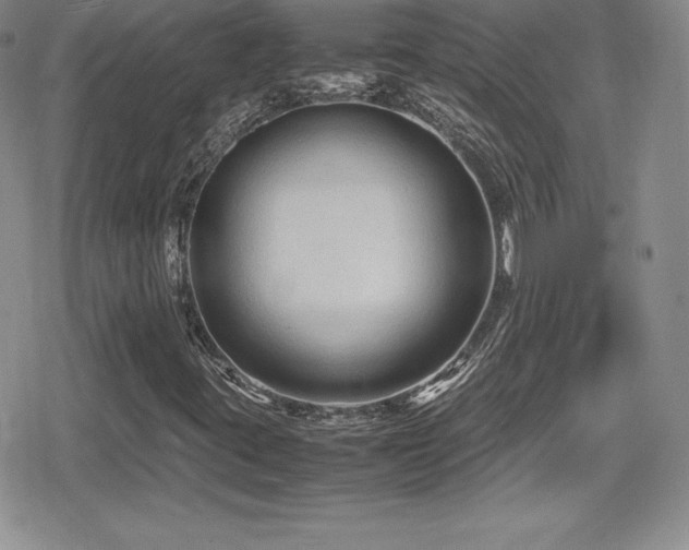 X0000080811395200612151516