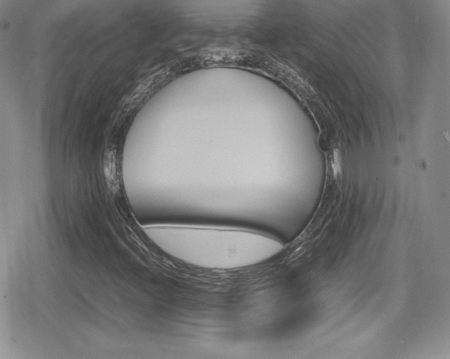 X0000080811396200612151516