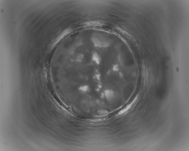 X0000080811401200612151516