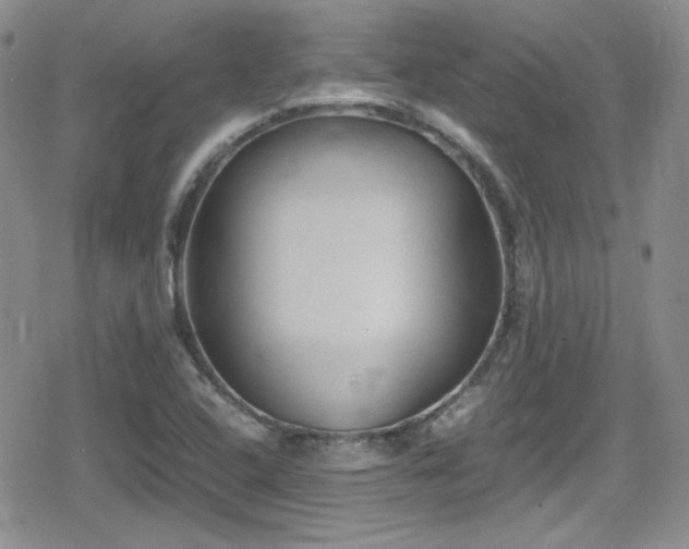 X0000080811408200612151517