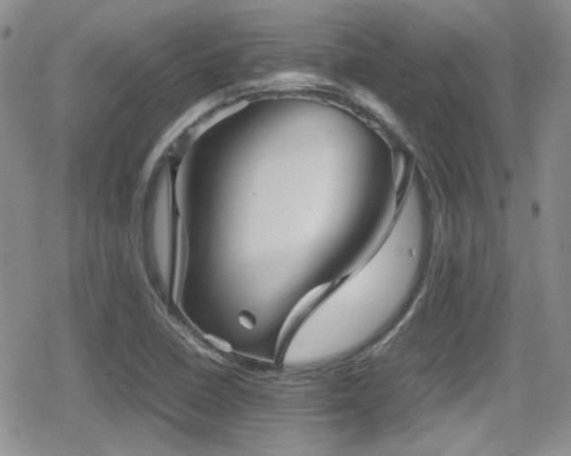 X0000080811410200612151517