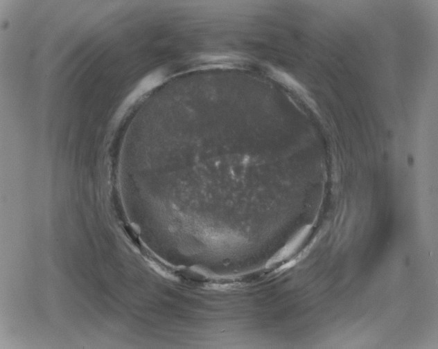 X0000080811411200612151517