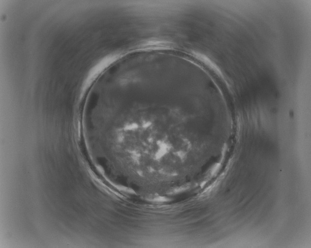 X0000080811413200612151517