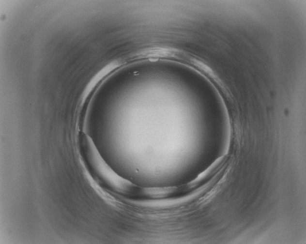 X0000080811426200612151517