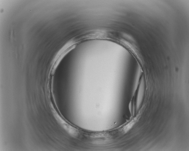X0000080811434200612151517