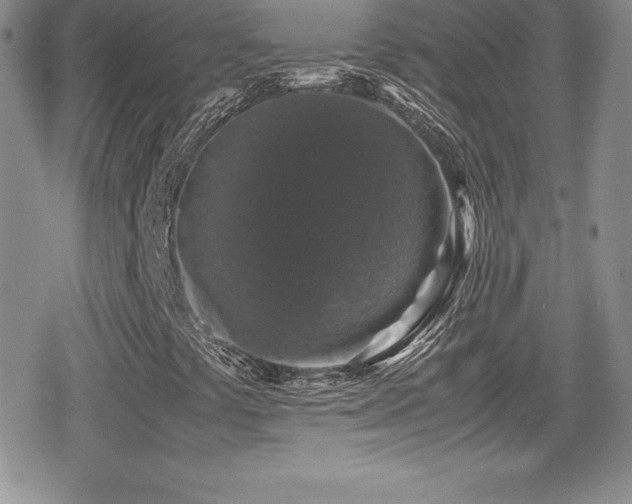 X0000080811441200612151516