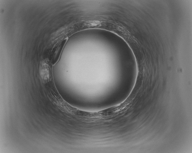 X0000080811442200612151516