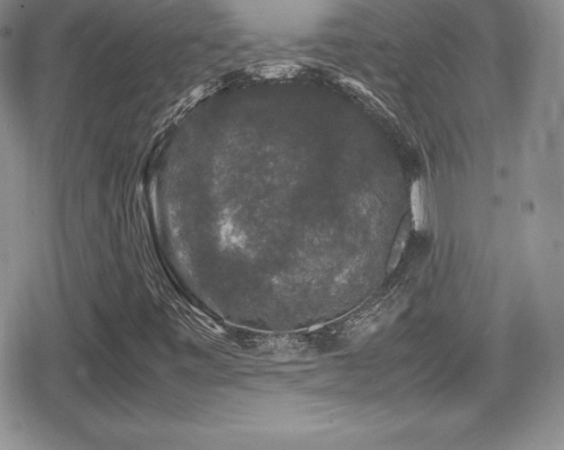 X0000080811443200612151516