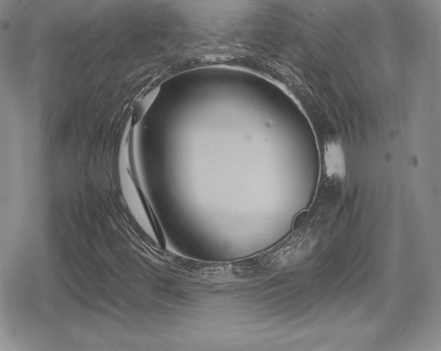 X0000080811444200612151516