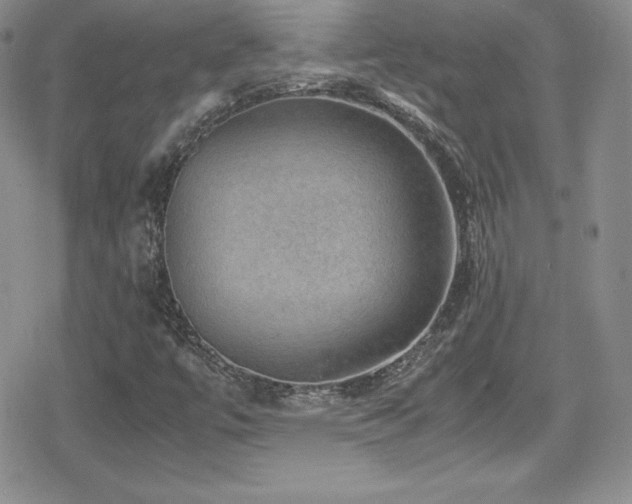 X0000080811447200612151516