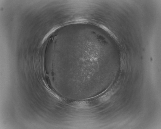 X0000080811450200612151516