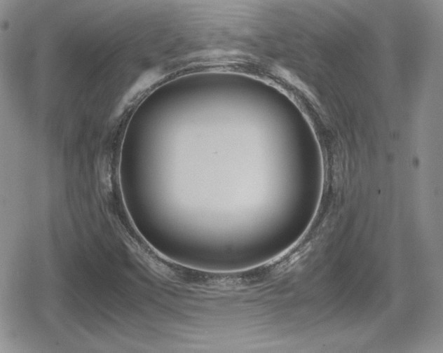 X0000080811451200612151516