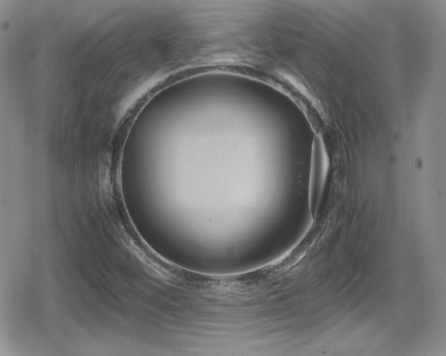 X0000080811452200612151516