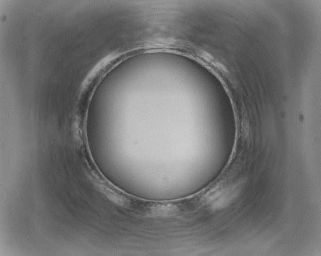 X0000080811454200612151516