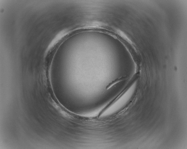 X0000080811456200612151516