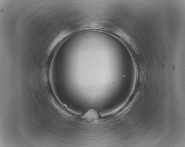 X0000080811458200612151516