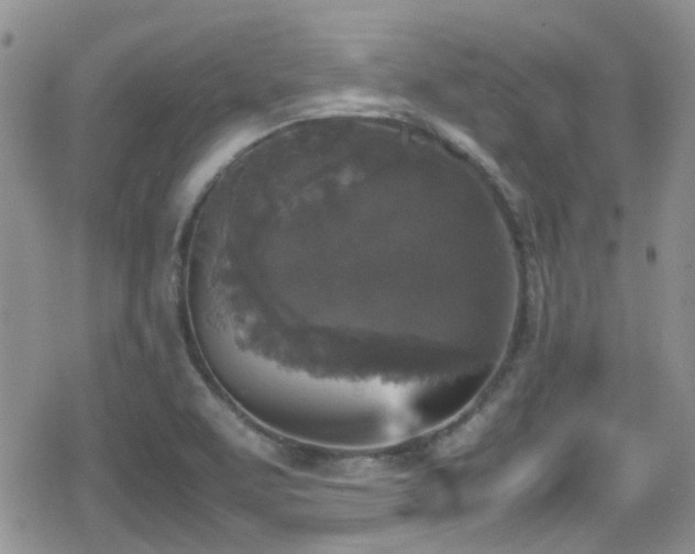 X0000080811463200612151516