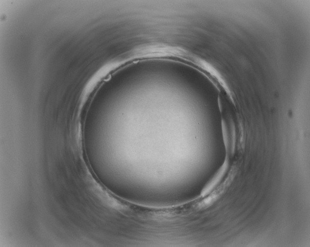X0000080811472200612151516