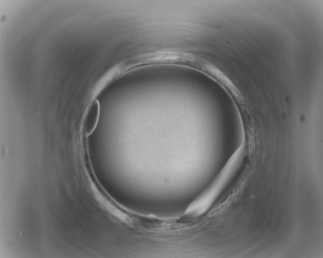 X0000080811475200612151516
