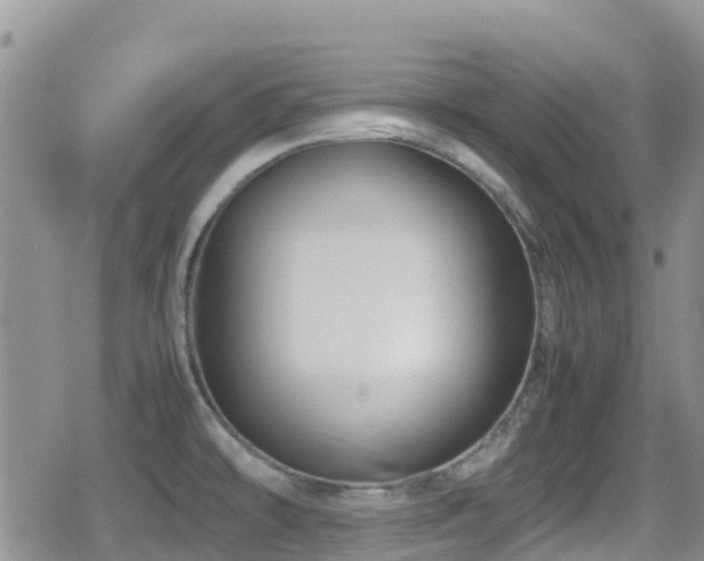 X0000080811478200612151516