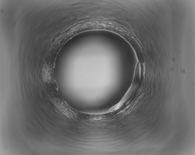 X0000080811490200612151515