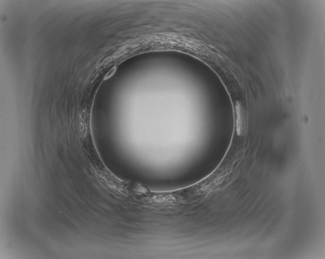X0000080811491200612151515