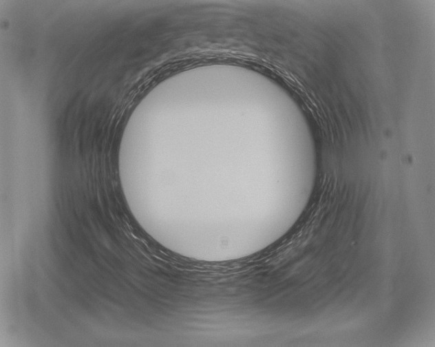 X0000080811492200612151515