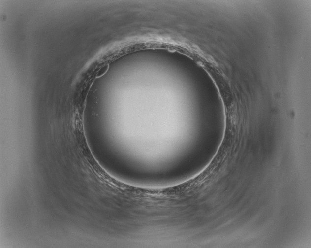 X0000080811495200612151515