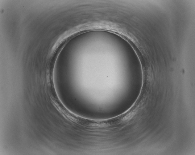 X0000080811499200612151515