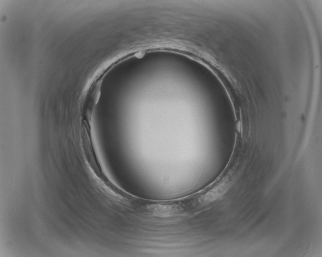 X0000080811500200612151515