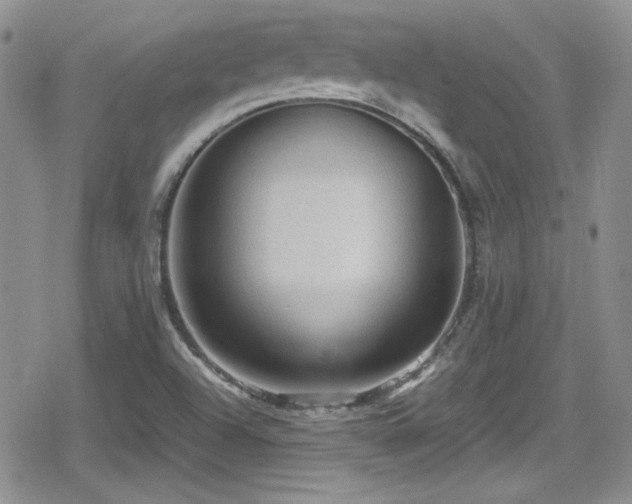 X0000080811504200612151515
