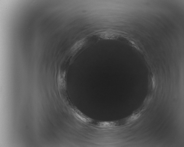 X0000080810239200612221629