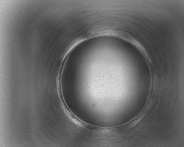X0000080810814200612221619