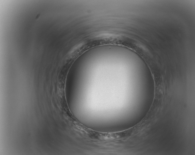 X0000080810869200612221618