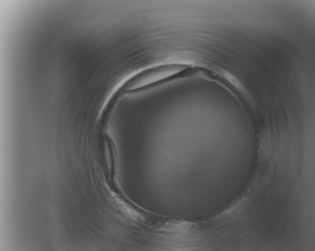 X0000080810926200612221617