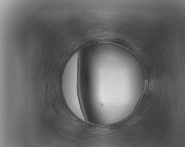 X0000080811156200612221613