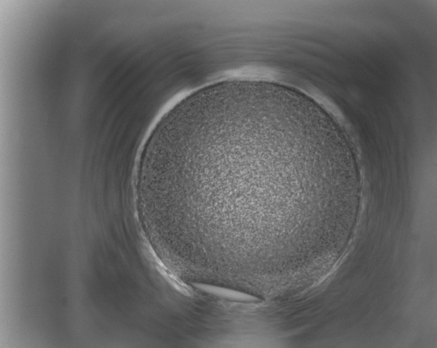 X0000080811248200612221612