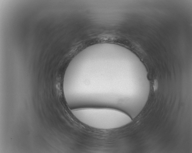 X0000080811396200612221608