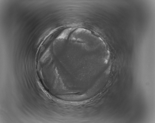 X0000080810002200701021328